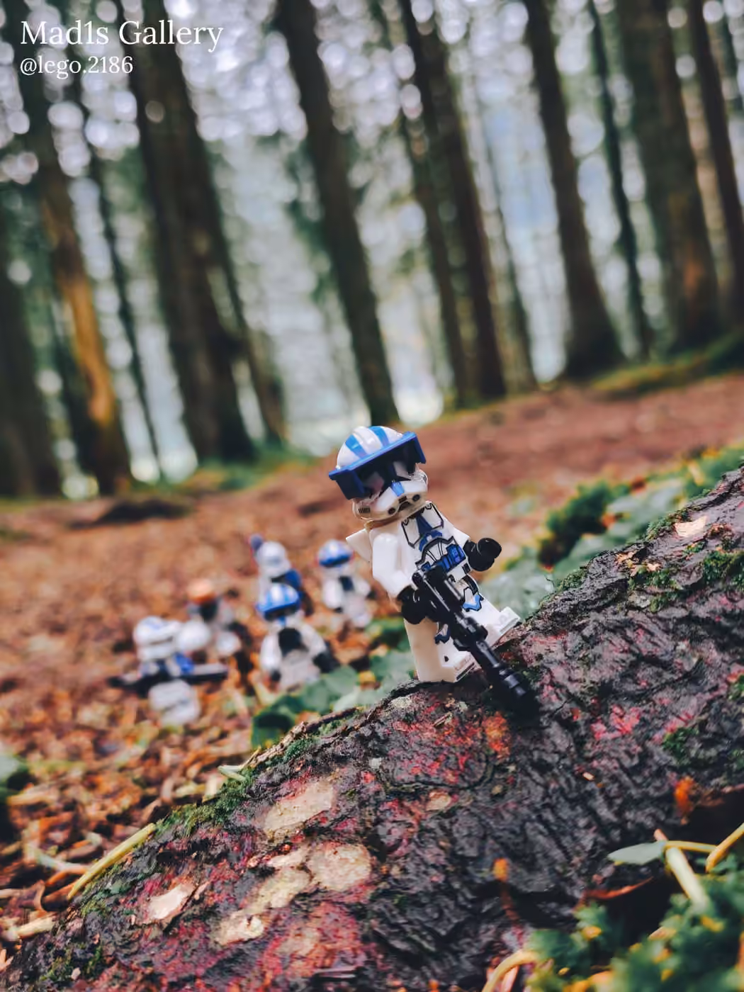LEGO Photo 3