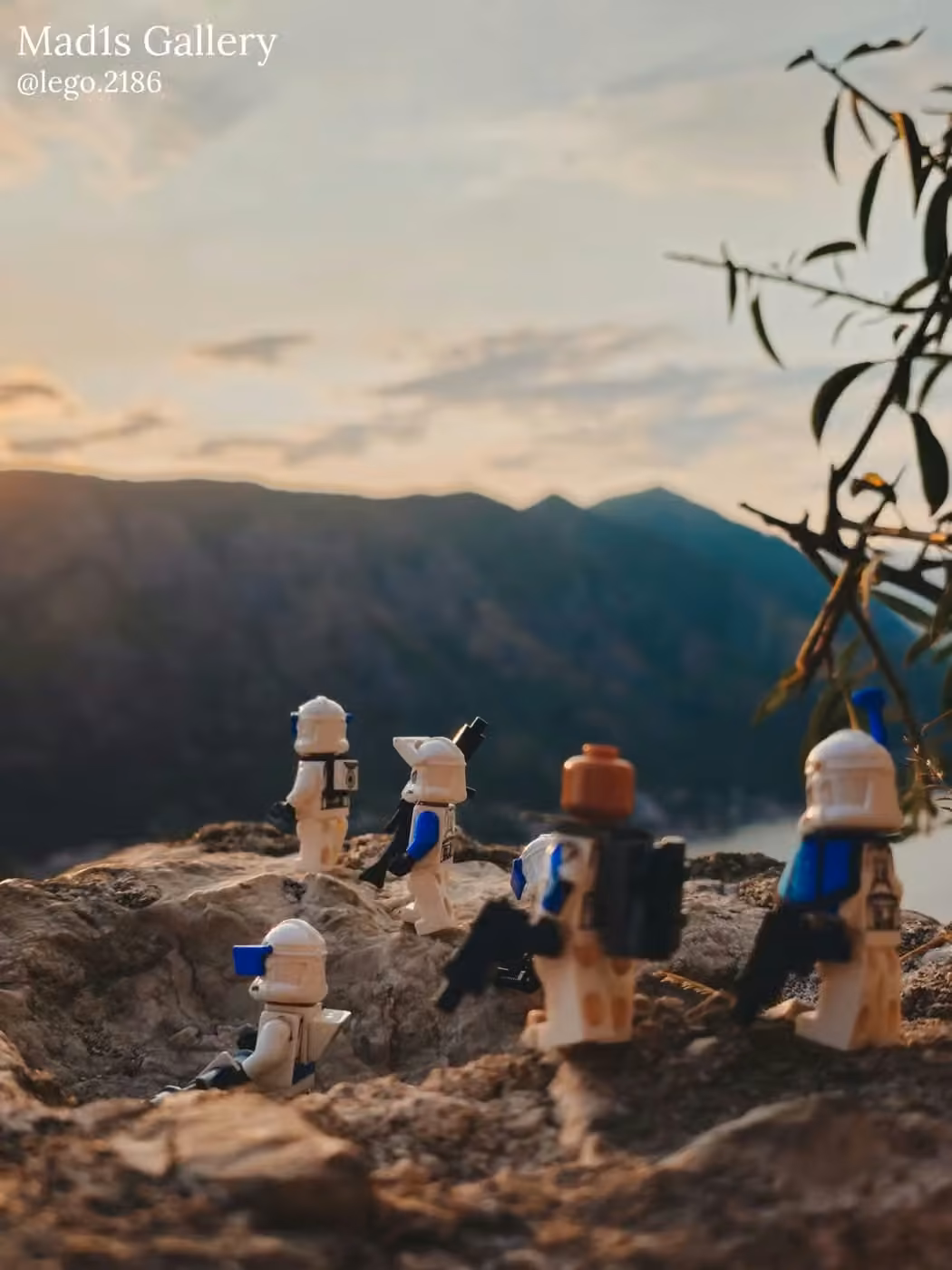 LEGO Photo 8